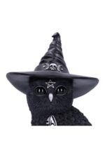Nemesis Now - Cult Cuties - Figurine Owlocen - 30cm – Image 4
